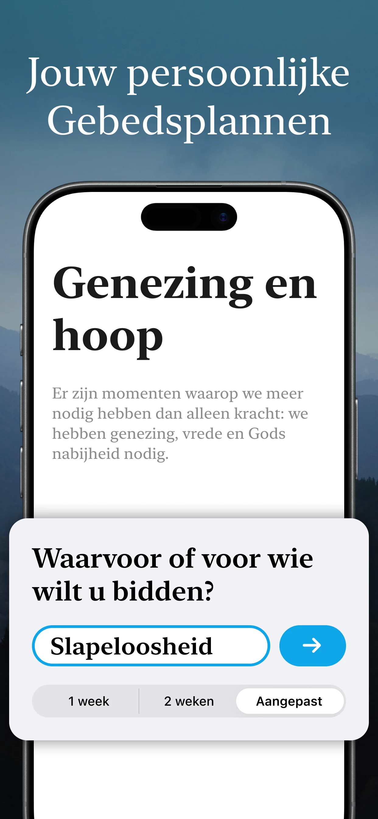 Voorbeeld 1